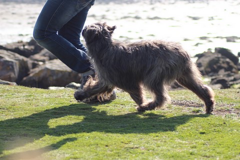 Mayou du rêve à la réalité