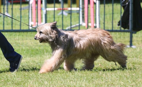 Inception du pic d'espade