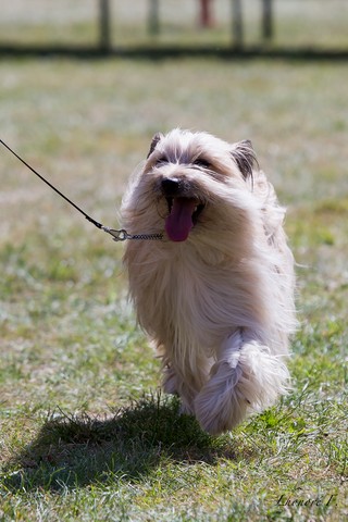 Ghana du rêve à la réalité